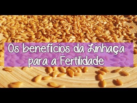 progesterona regular aceite endo